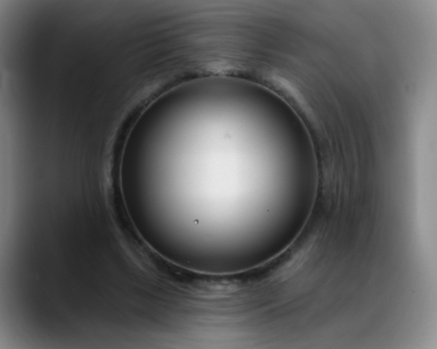 X0000088710443200706141451