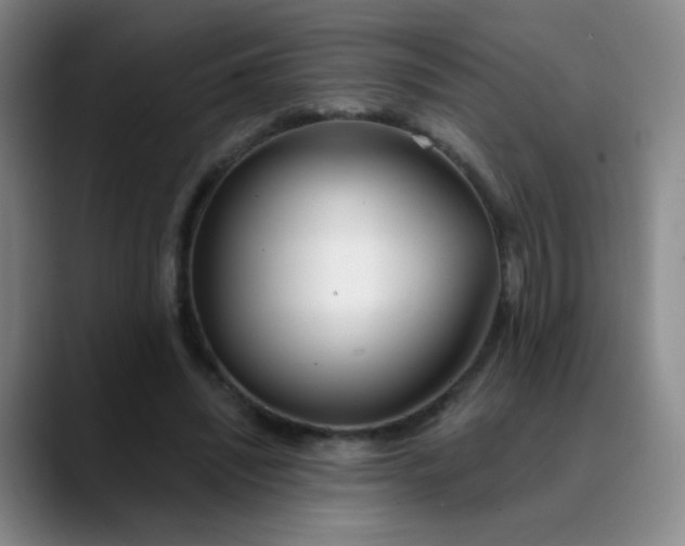 X0000088710444200706141451