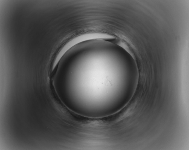 X0000088710446200706141451