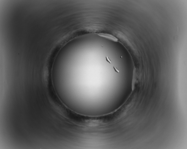 X0000088710448200706141451