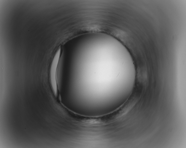 X0000088710449200706141451