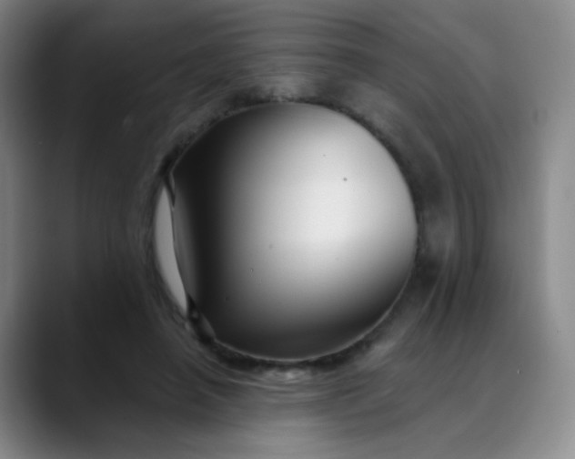 X0000088710450200706141451