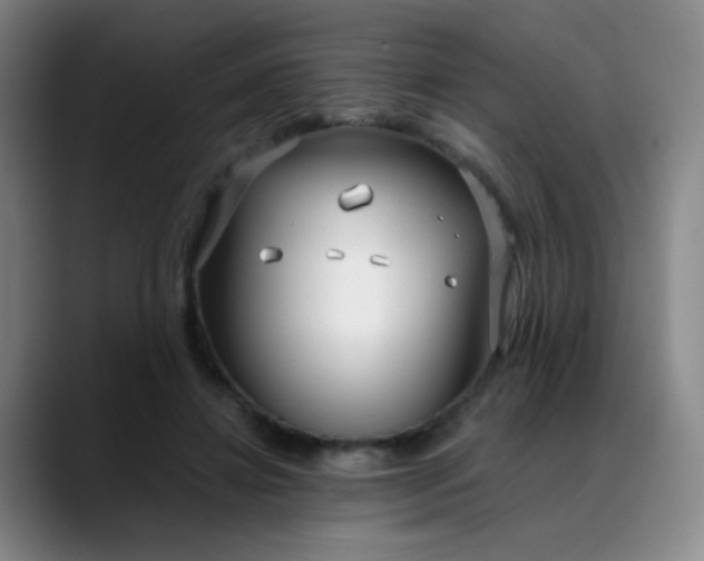 X0000088710452200706141451