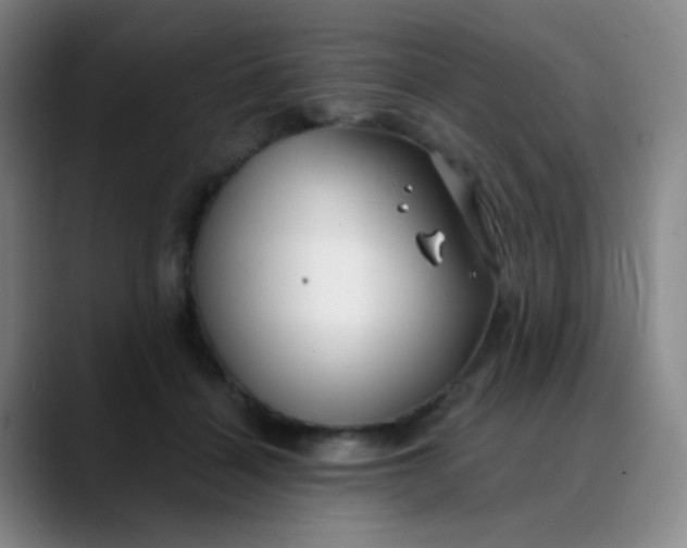 X0000088710460200706141451