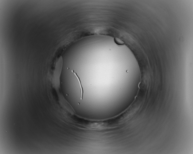 X0000088710461200706141451