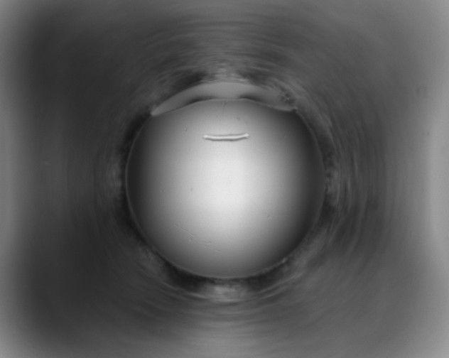 X0000088710466200706141451