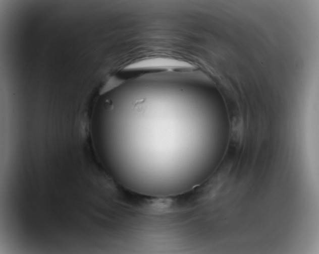 X0000088710474200706141452