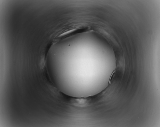 X0000088710478200706141452