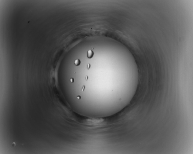 X0000088710480200706141452