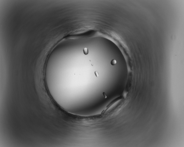 X0000088710481200706141451