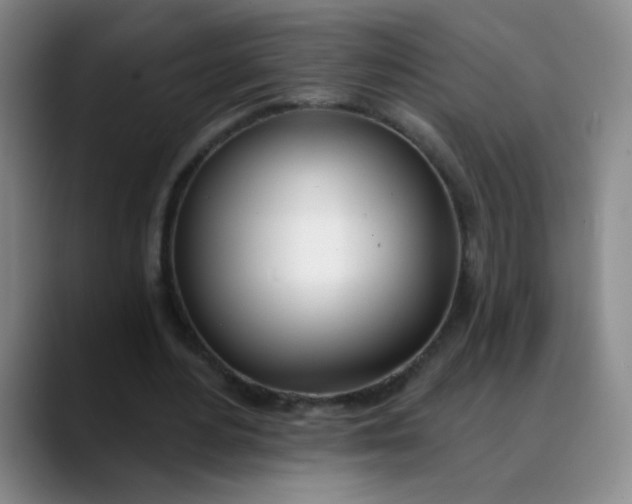 X0000088710484200706141451