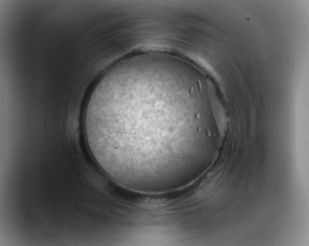 X0000088710487200706141451