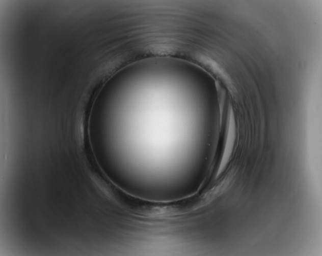 X0000088710493200706141451