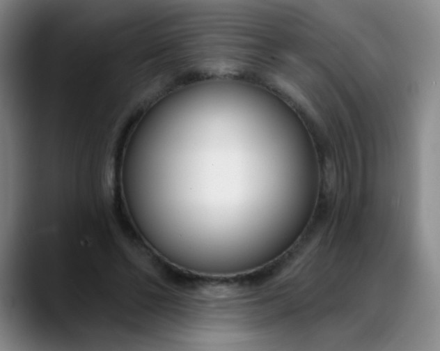 X0000088710494200706141451