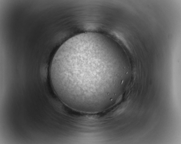 X0000088710495200706141451