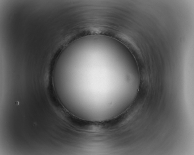 X0000088710496200706141451