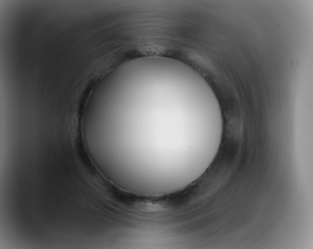 X0000088710498200706141451