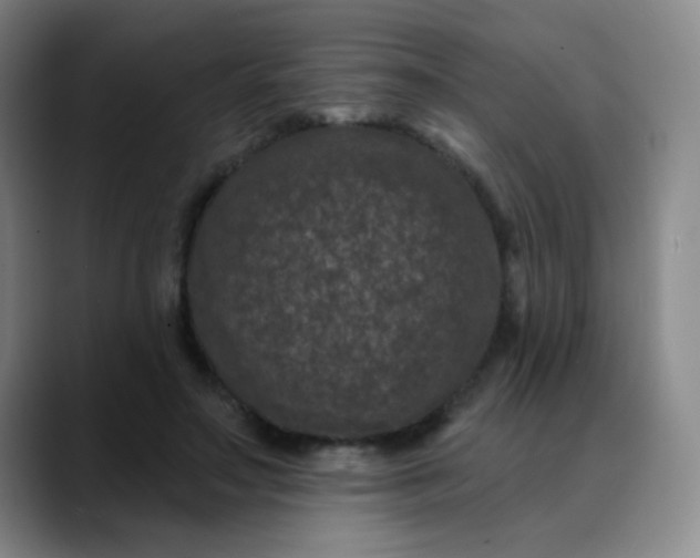 X0000088710499200706141451