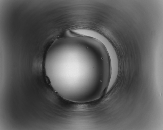 X0000088710501200706141451