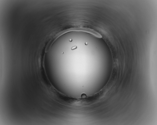 X0000088710504200706141451