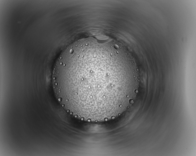 X0000088710507200706141451