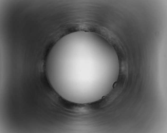 X0000088710514200706141451