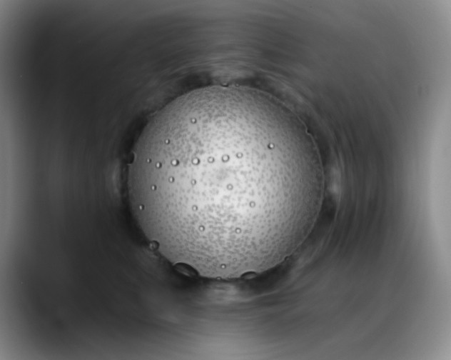 X0000088710519200706141451