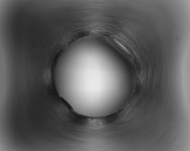 X0000088710520200706141451