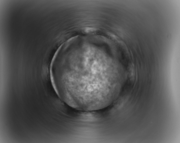 X0000088710523200706141451