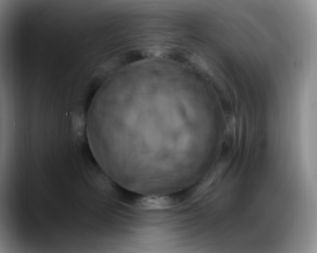 X0000088710526200706141451