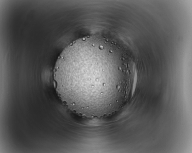 X0000088710527200706141450