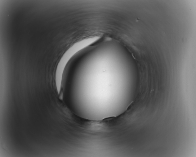 X0000088710528200706141450