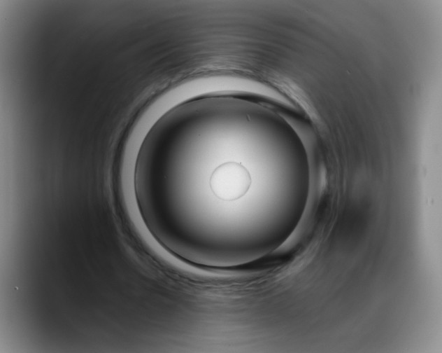 X0000088710530200706141450