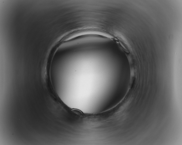 X0000088710532200706141450