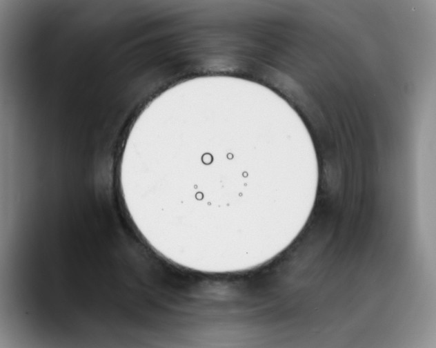 X0000088710534200706141450