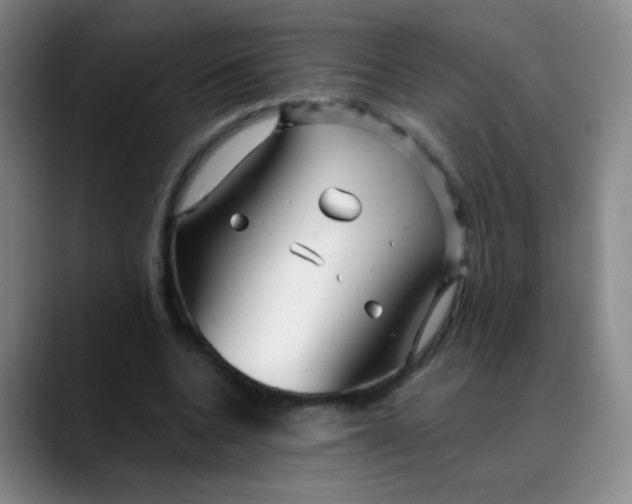 X0000088710536200706141450