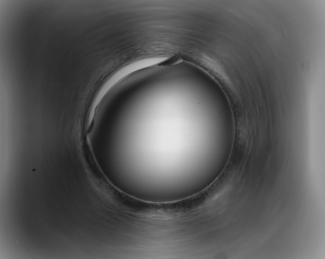 X0000088710538200706141450