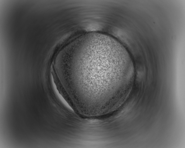 X0000088710539200706141450