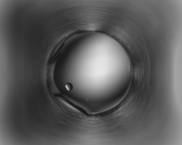 X0000088710540200706141450