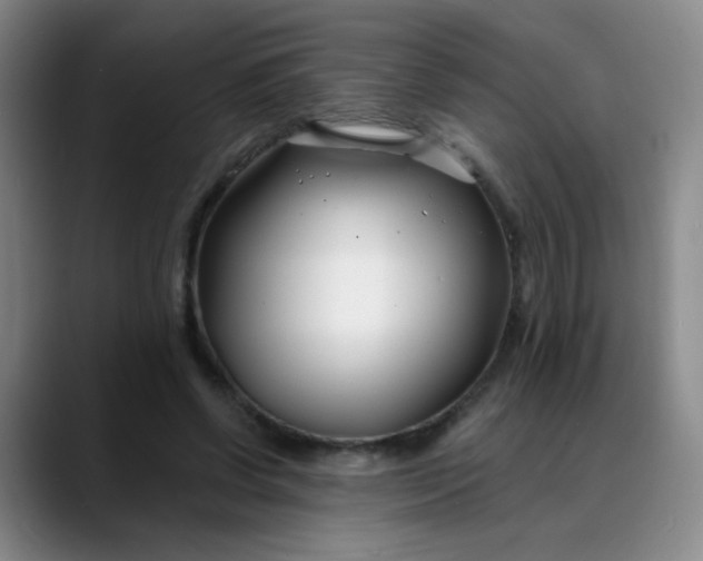 X0000088710542200706141450