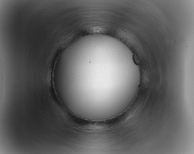 X0000088710545200706141450