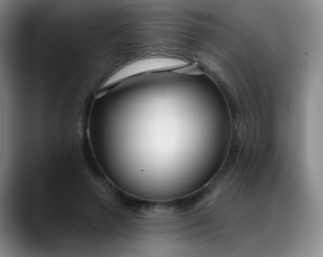 X0000088710546200706141450