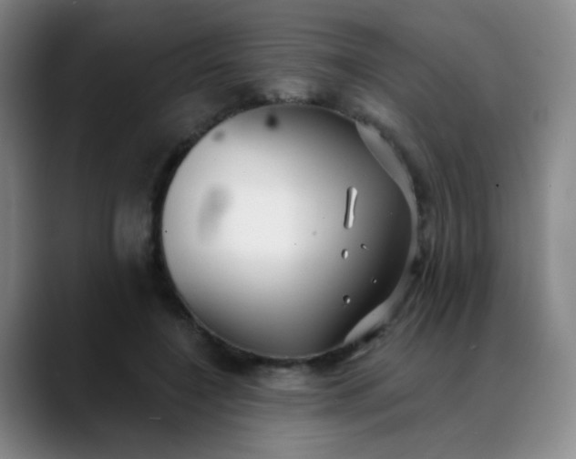 X0000088710548200706141450