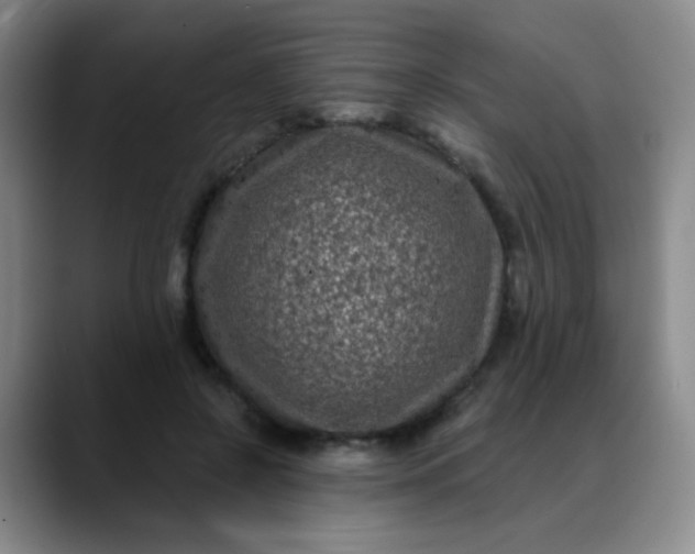 X0000088710550200706141450