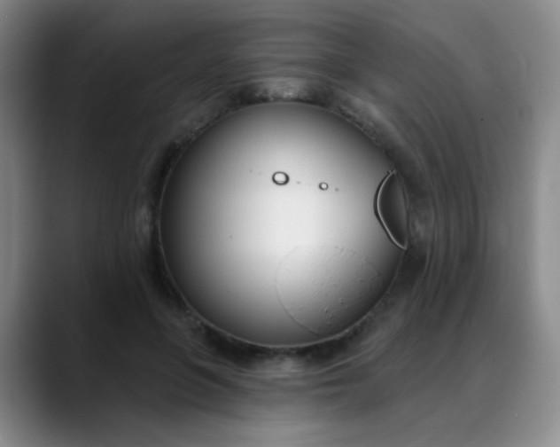 X0000088710551200706141450