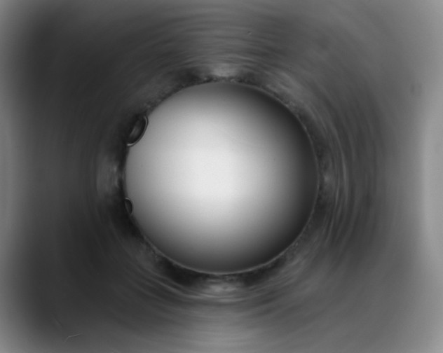 X0000088710555200706141450