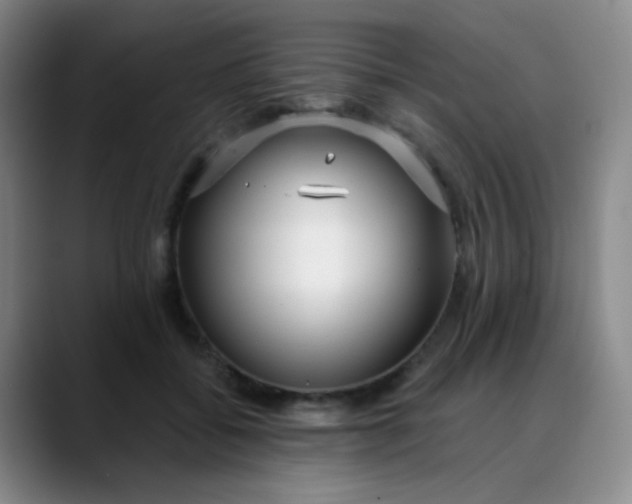 X0000088710556200706141450