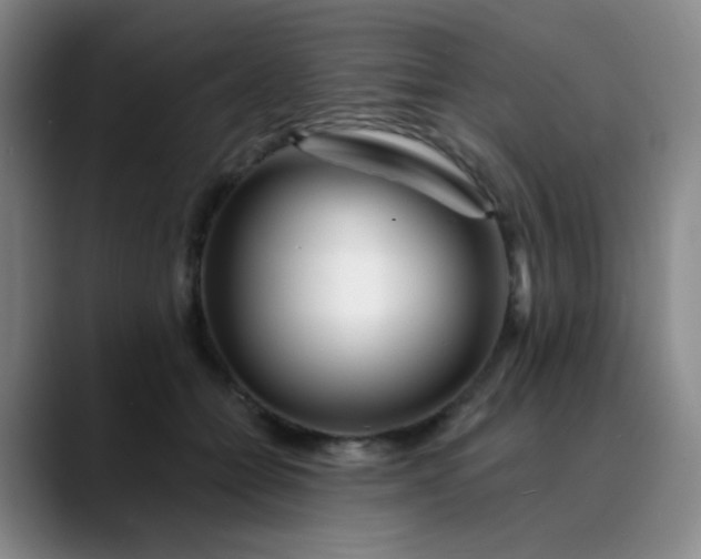 X0000088710558200706141450