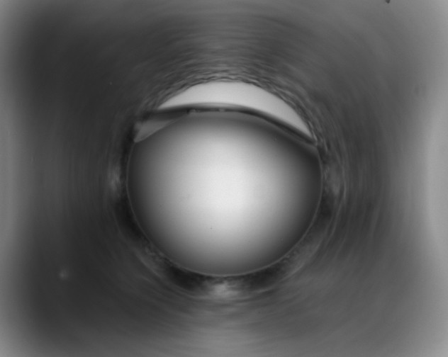 X0000088710564200706141450