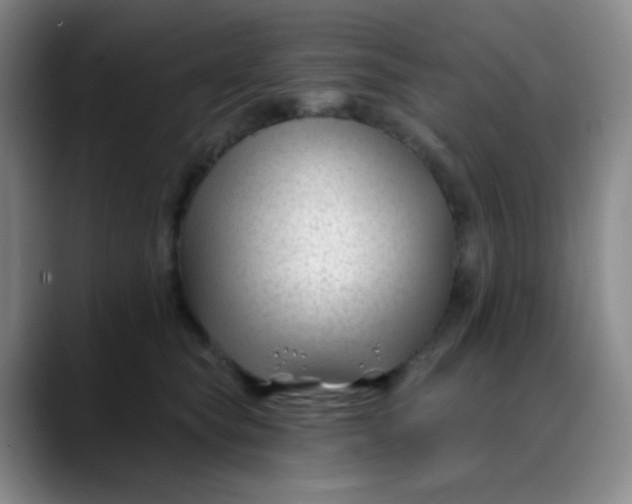 X0000088710565200706141450